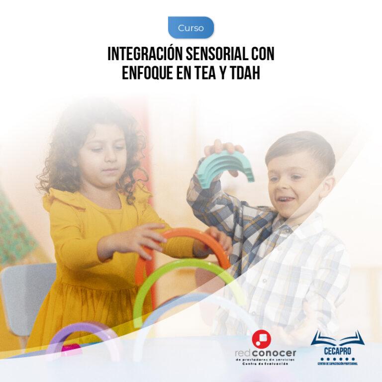 Curso Integración Sensorial Enfoque TEA Y TDAH