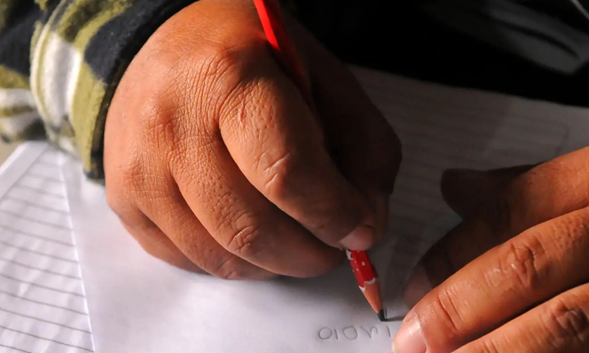 Enseñanza de la Lectoescritura (Diplomado Asincrónico )