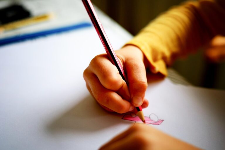 Escala Wechsler de inteligencia para niños (WISC IV)
